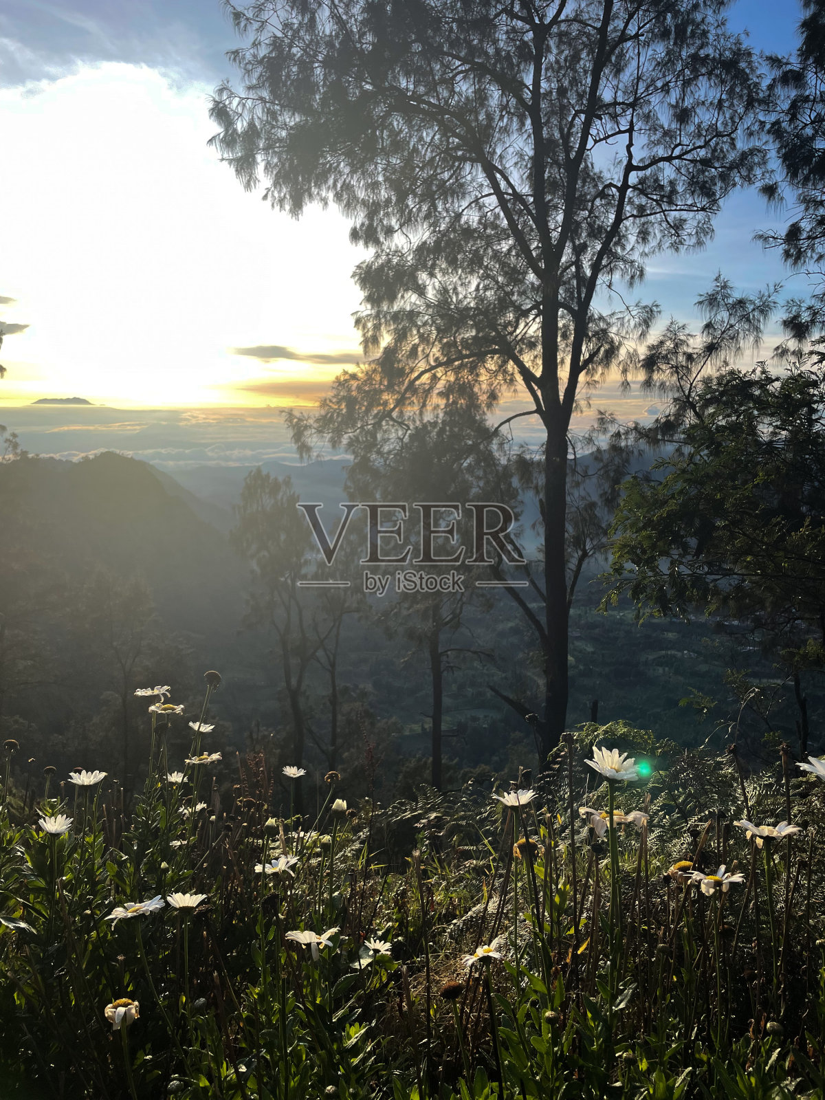 山上的日出照片摄影图片