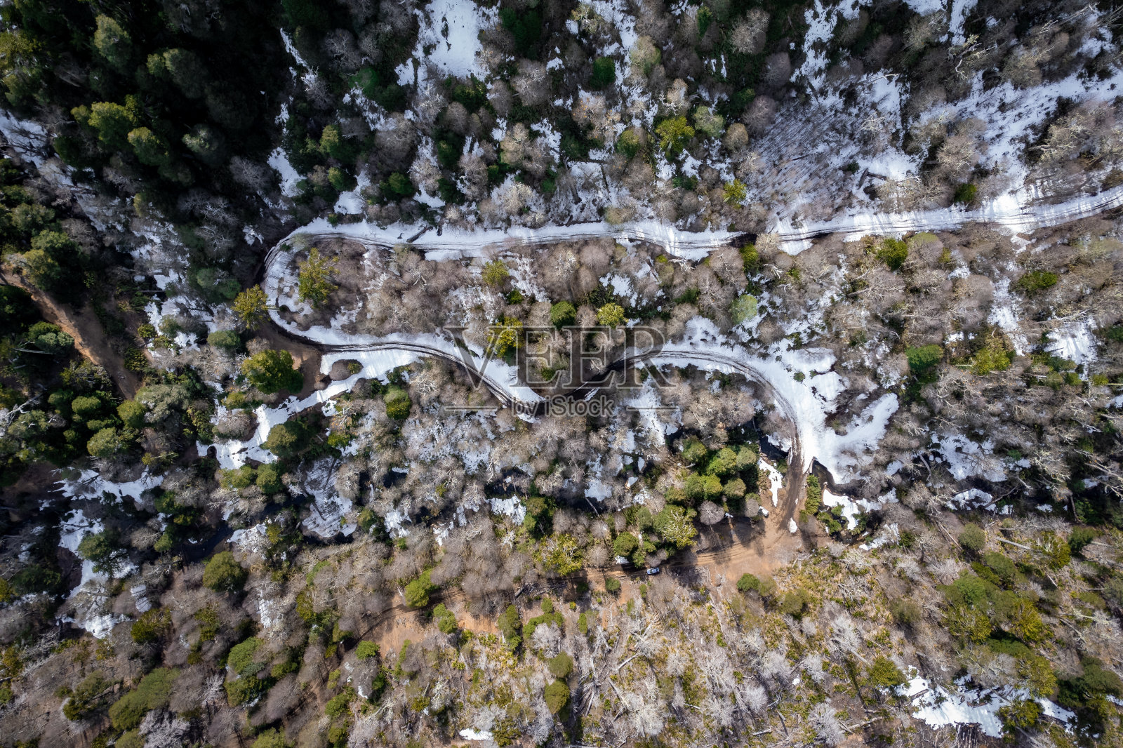 穿越智利南部雪林的山路照片摄影图片