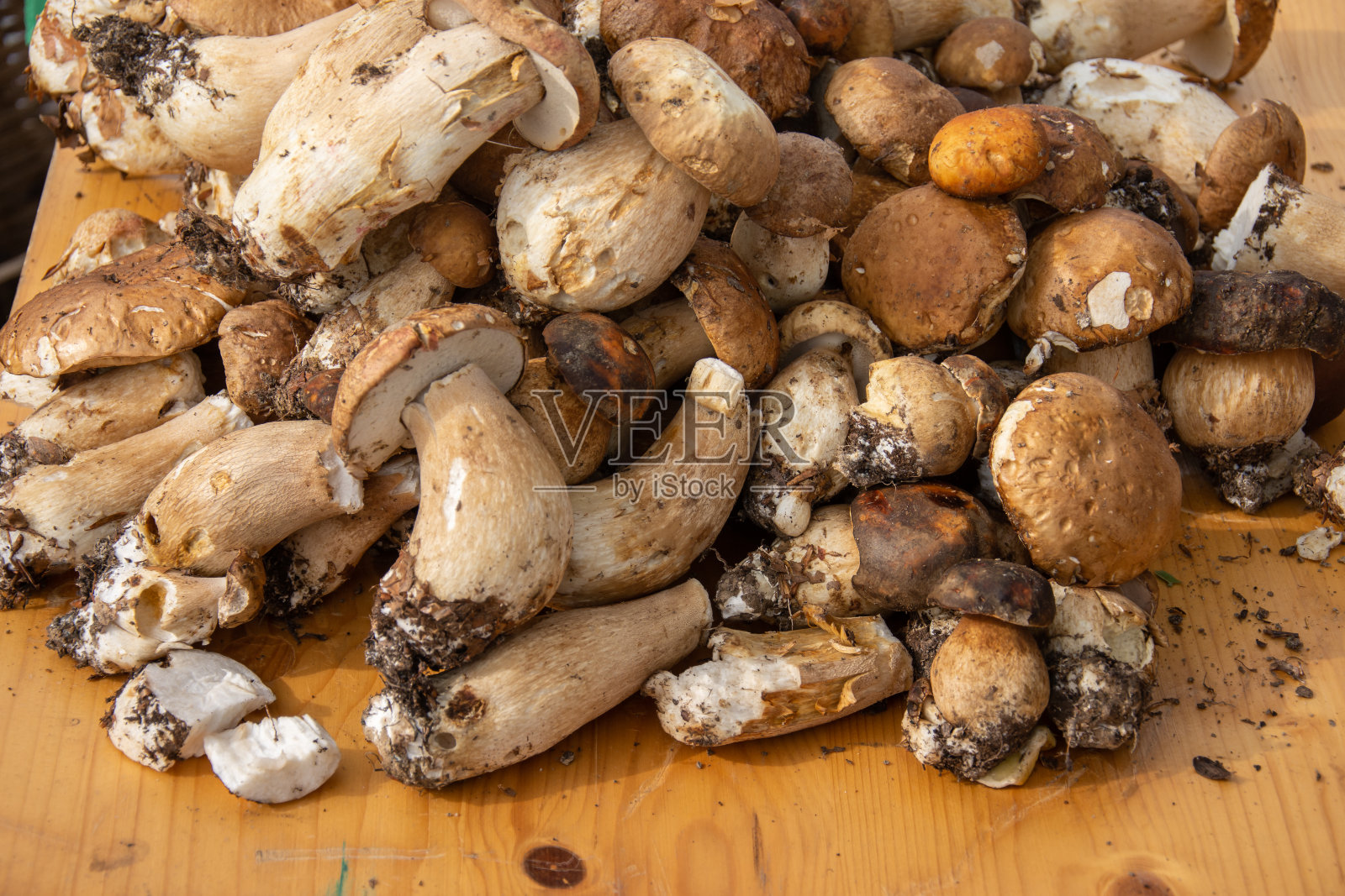 可食用的森林蘑菇放在木桌上照片摄影图片