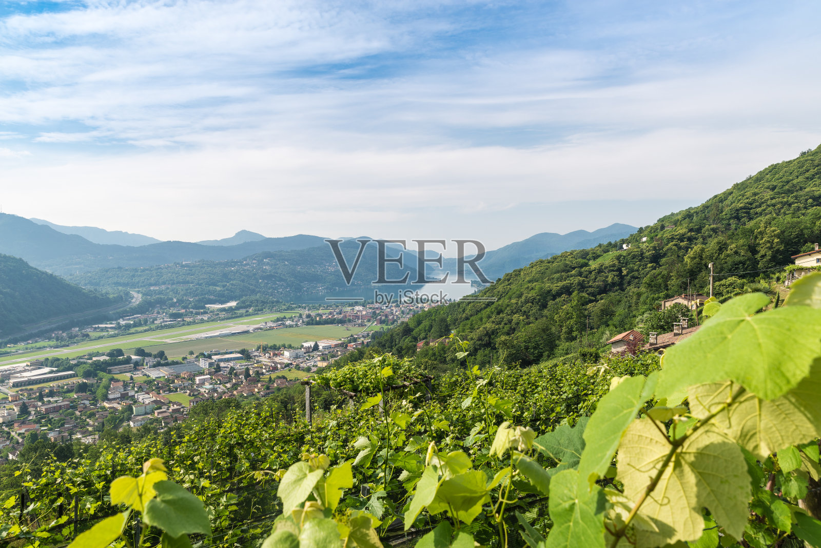 瑞士的卢加诺湖、葡萄园、卢加诺机场和Agno镇照片摄影图片