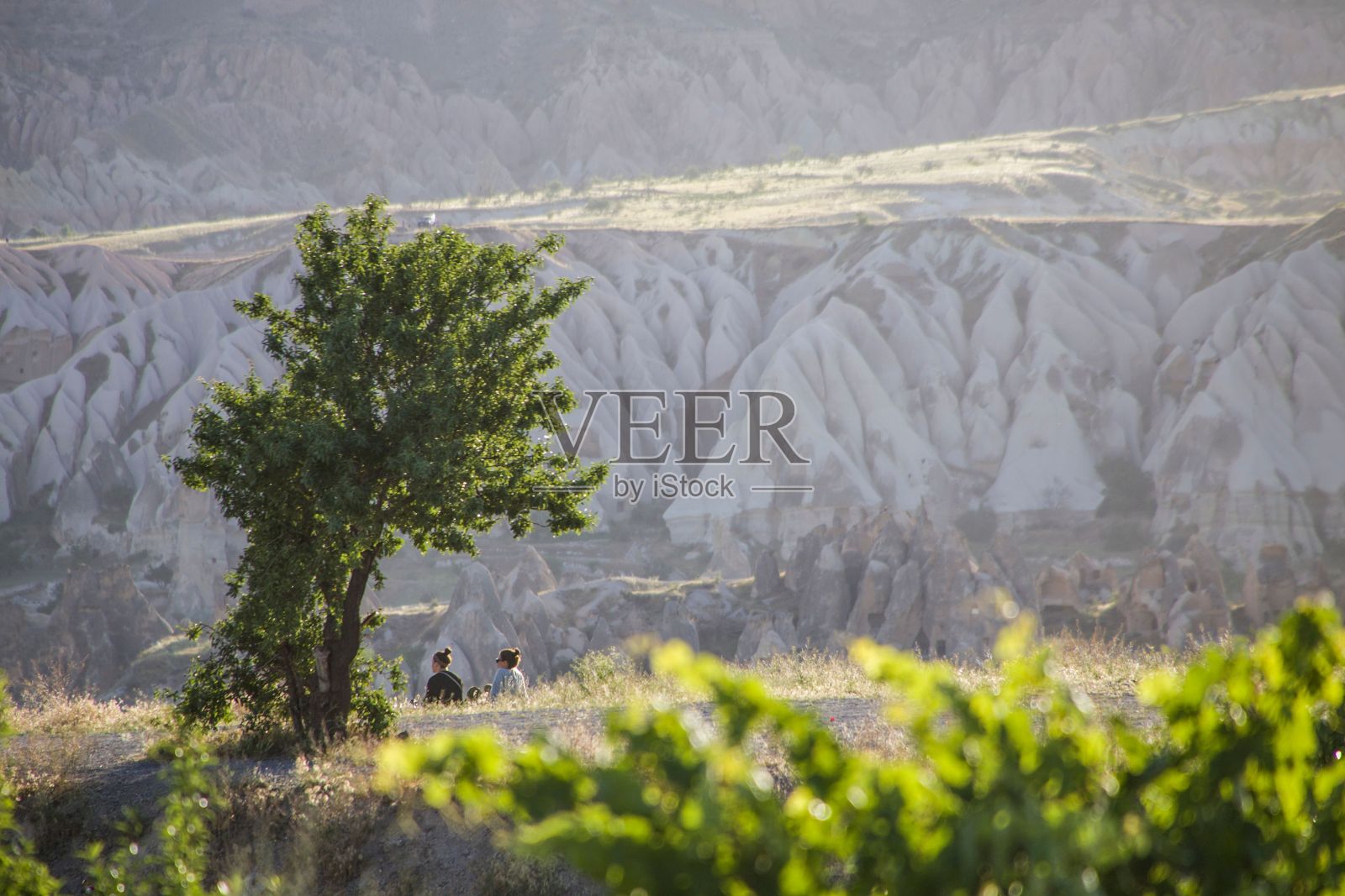 人们在阳光下望着沙丘的美丽景色照片摄影图片