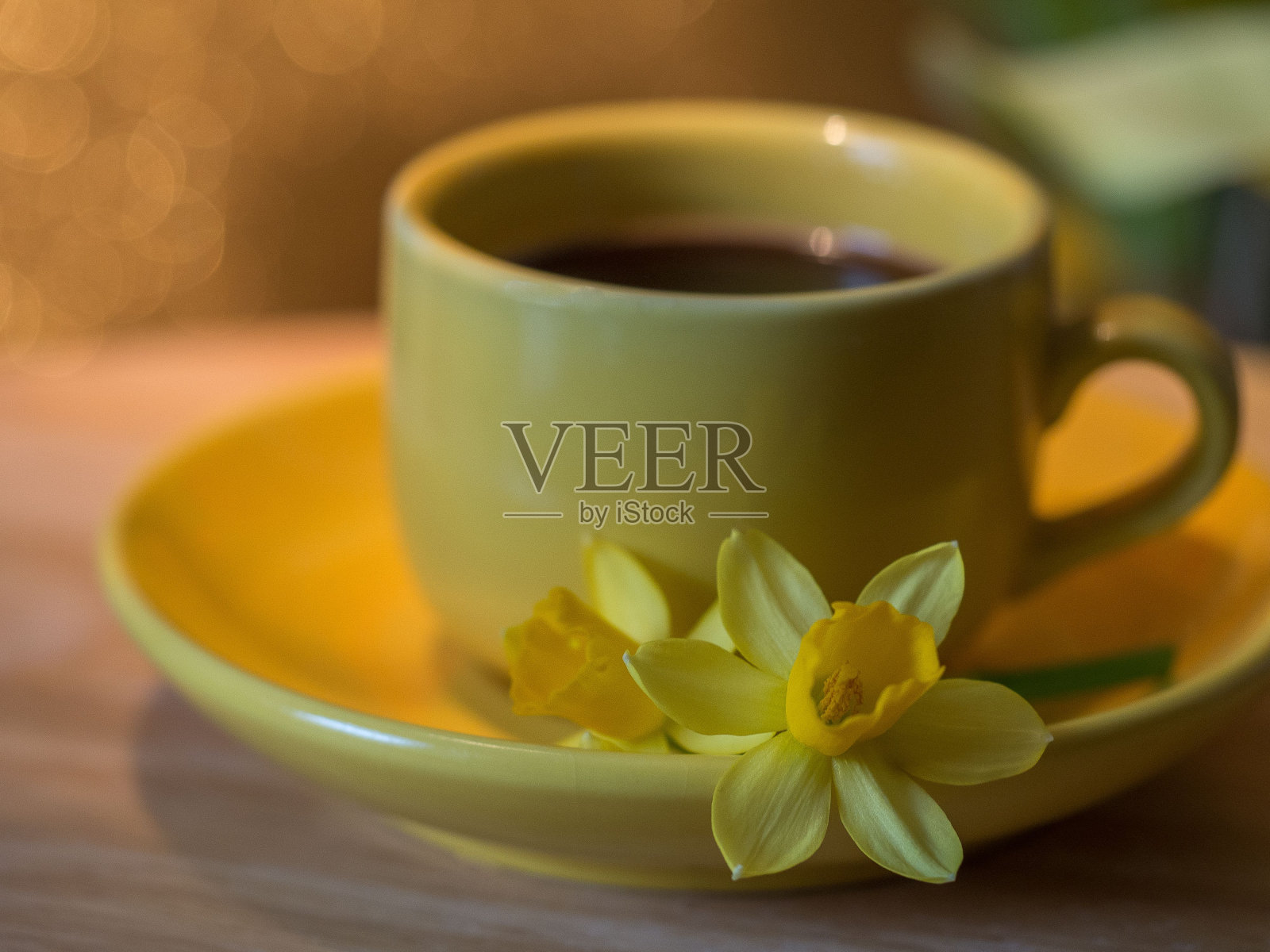 近距离观看一杯咖啡与黄色水仙花照片摄影图片