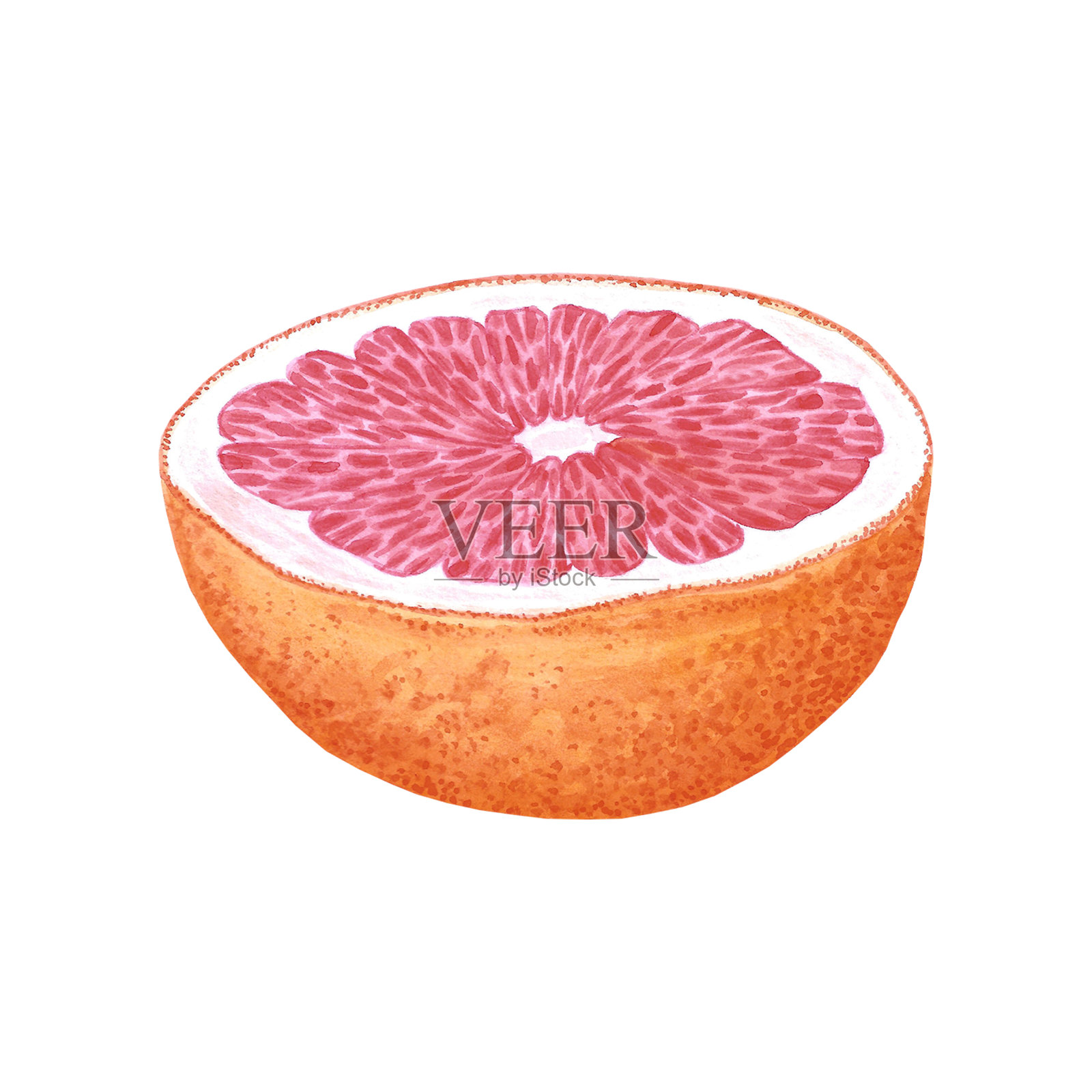 手绘水彩柚子孤立在白色背景。剪贴簿，明信片，横幅，标签。插画图片素材