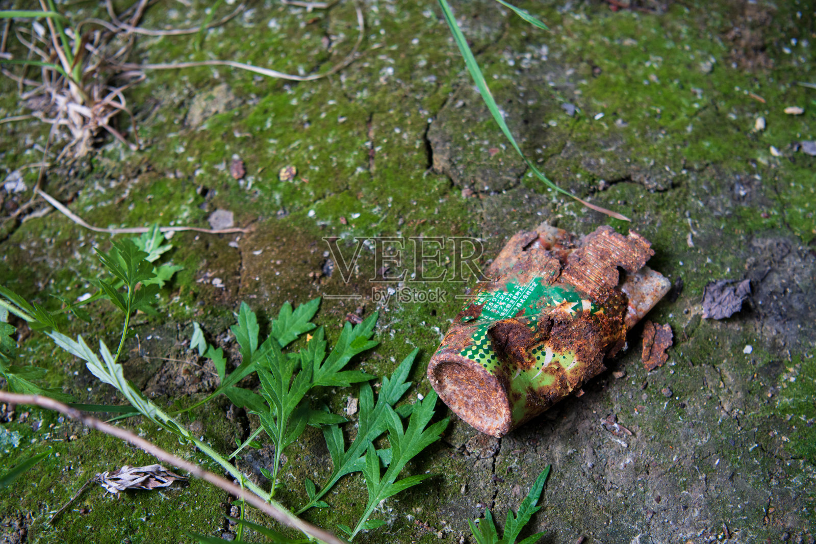 一个空的古董汽水罐被草扔在地上照片摄影图片