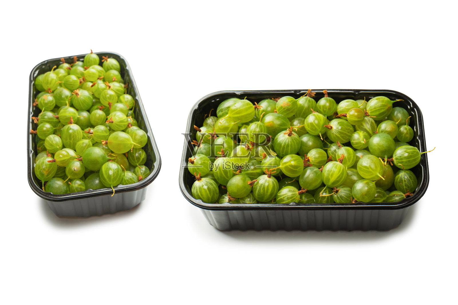 一群孤立在白色背景上的醋栗。照片摄影图片