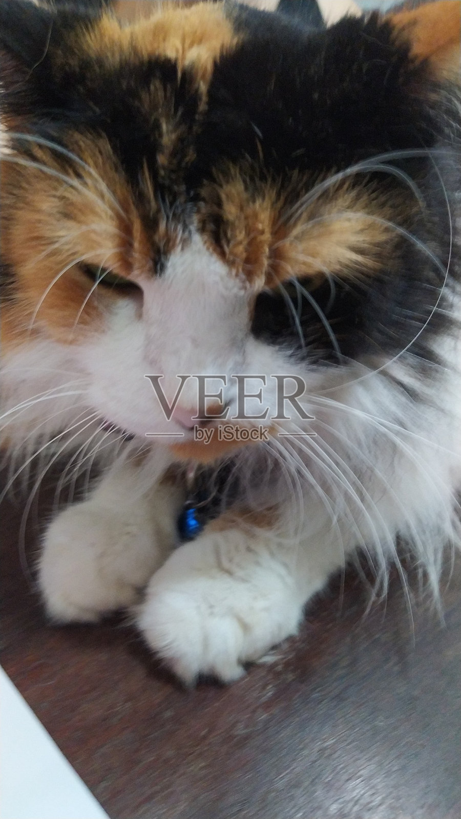 附件照片摄影图片