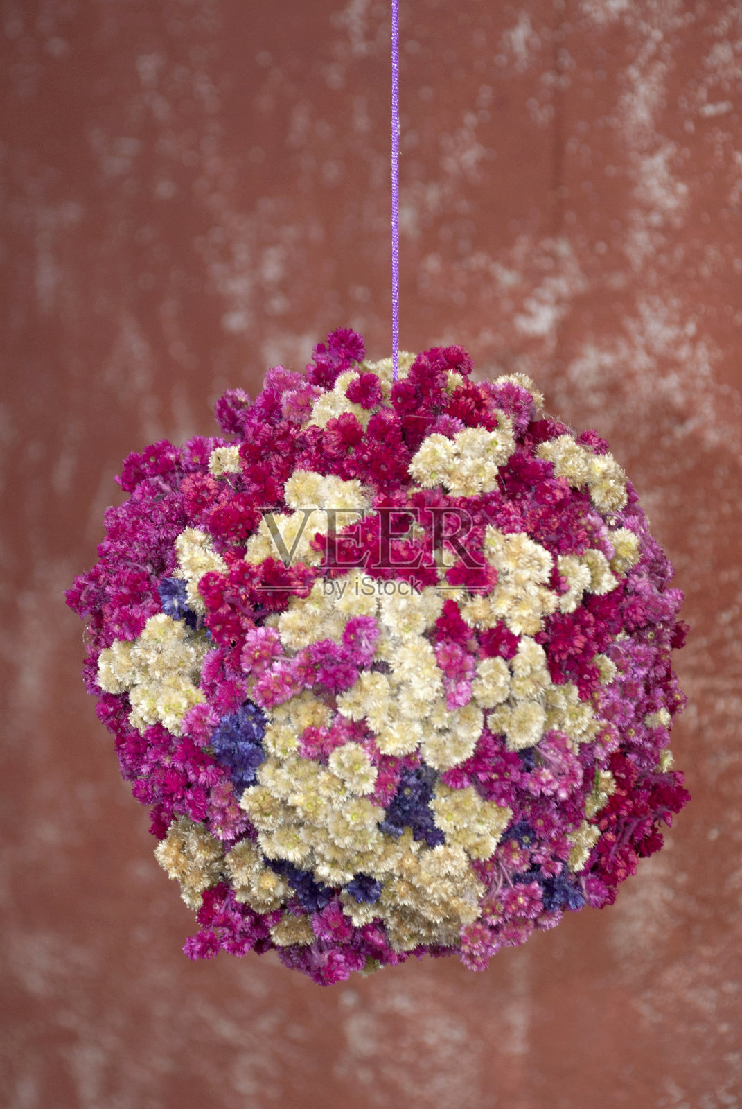 安排花的颜色洋红色和白色，挂在婚礼上。照片摄影图片