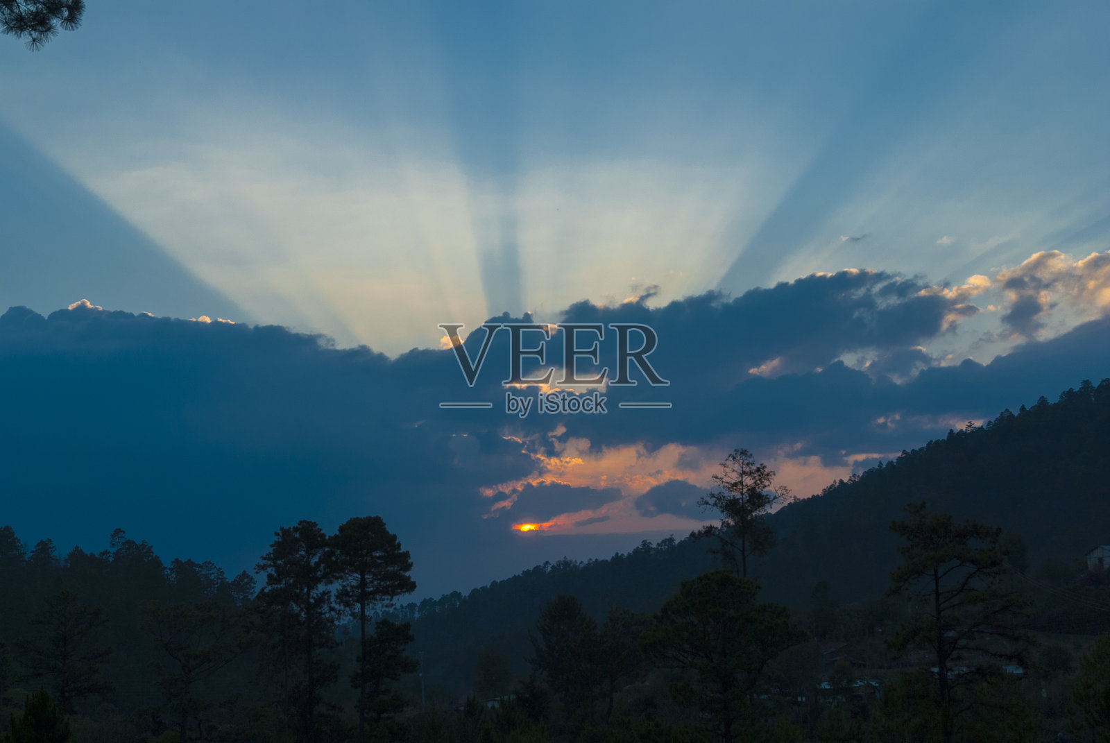 乡村地区的日落，树木和山脉的剪影。照片摄影图片