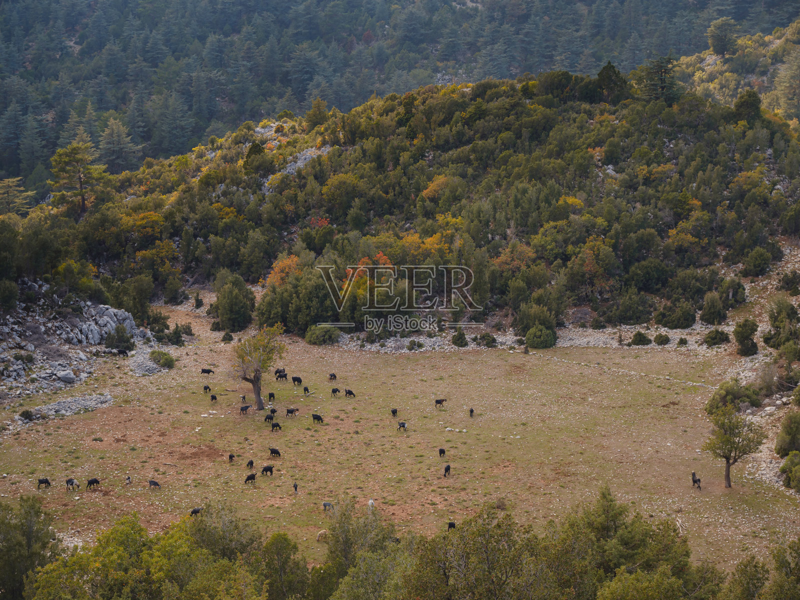 夕阳在巴巴达格山周围的山丘上照片摄影图片