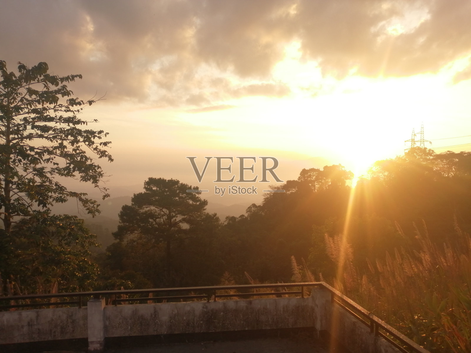 美丽的大自然照片摄影图片