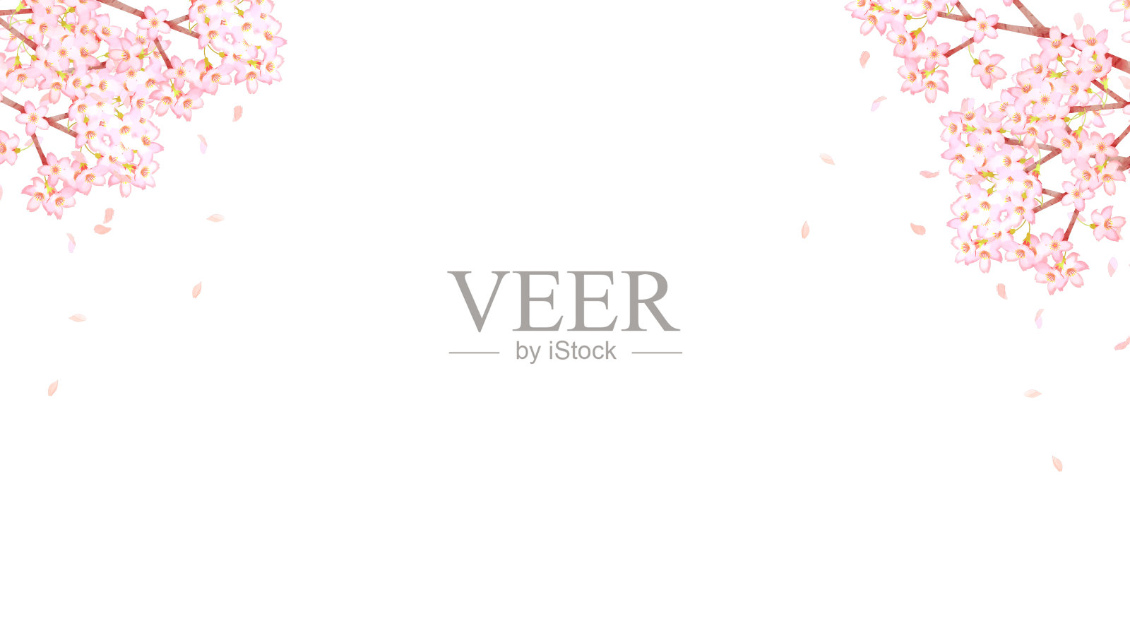 樱花背景框架材料插画图片素材