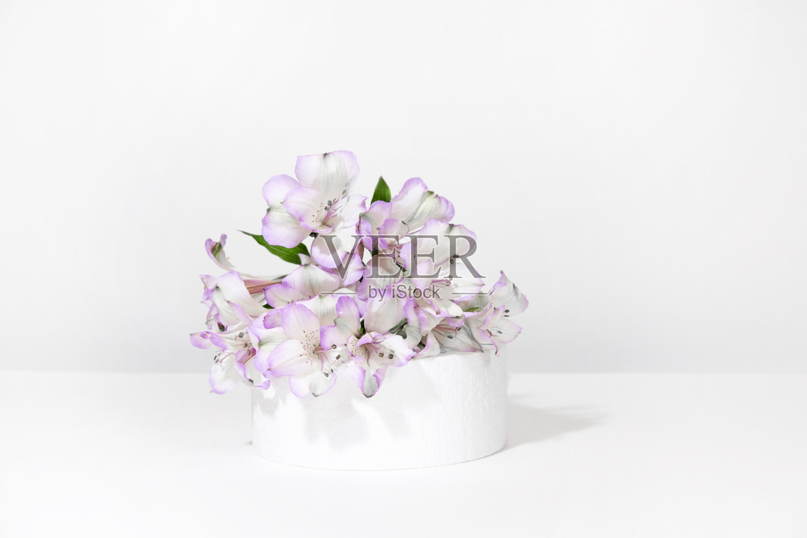 圆柱形白色讲台上的白灰色背景与硬阴影和紫丁香花。最小的空化妆品展示场景。几何讲台。照片摄影图片