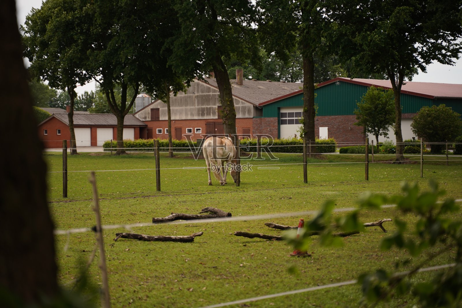 约克郡北部霍斯附近约克郡山谷的美丽乡村景观照片摄影图片