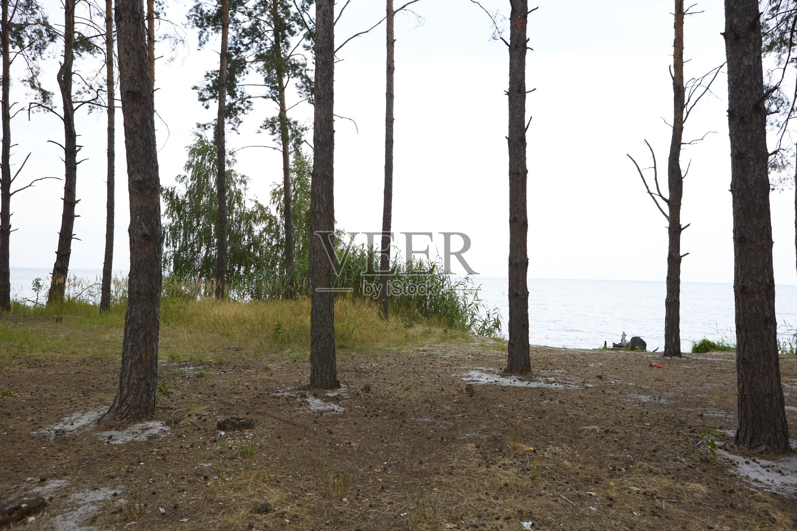 景观照片摄影图片