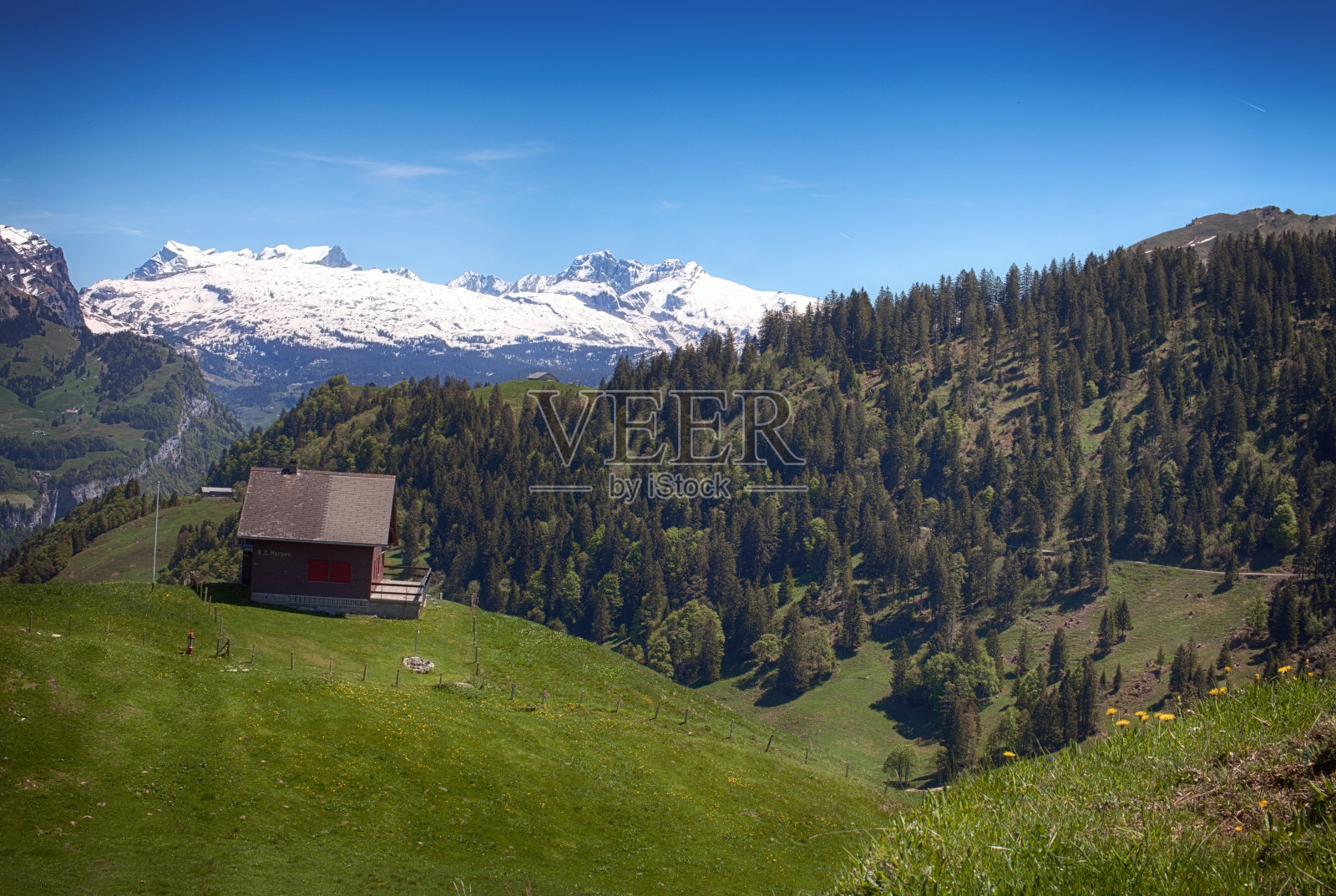 从瑞士中部的斯图斯小村庄看阿尔卑斯山照片摄影图片