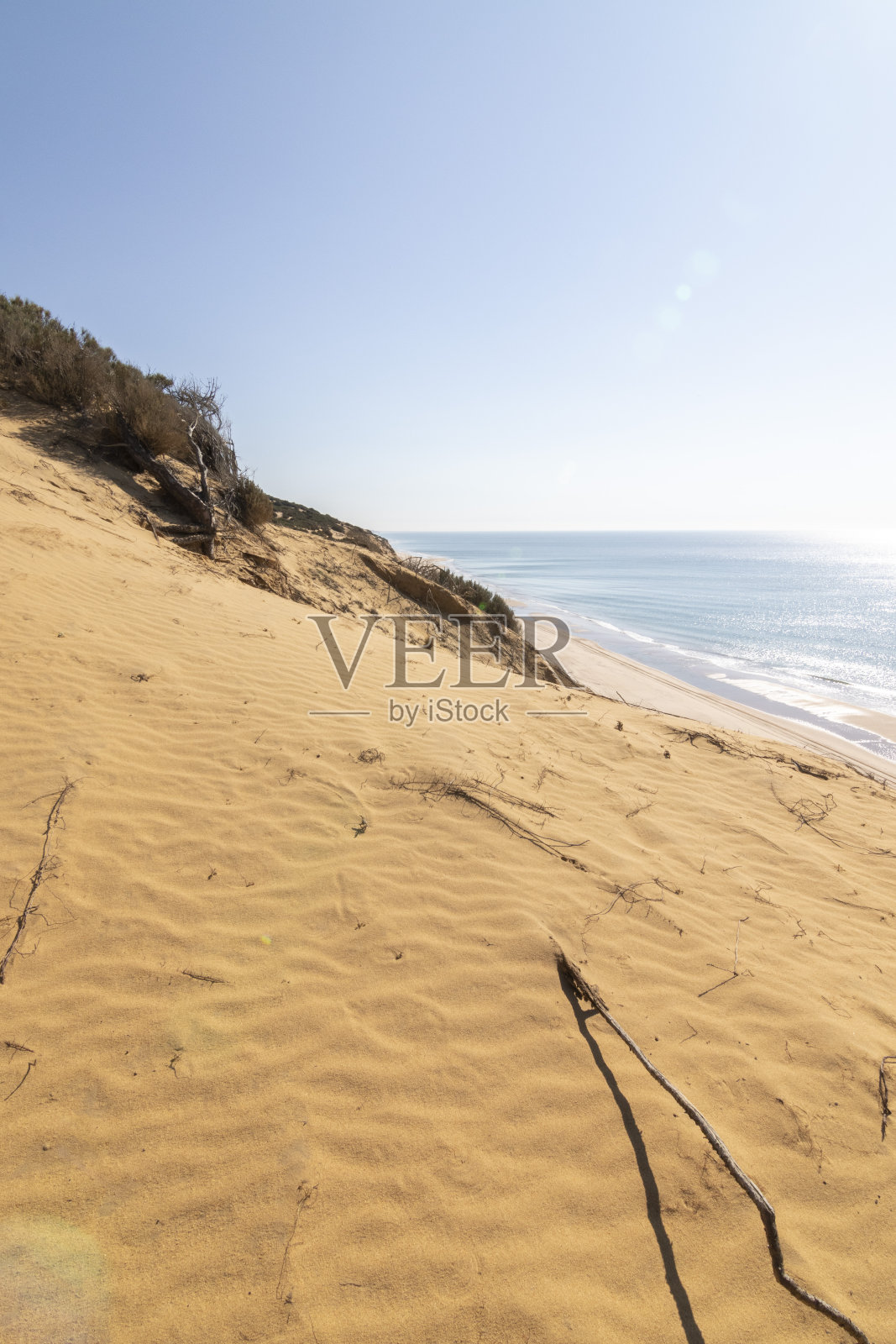 One of the most beautiful beaches in Spain, called (El Asperillo, Doñana, Huelva) in Spain.照片摄影图片