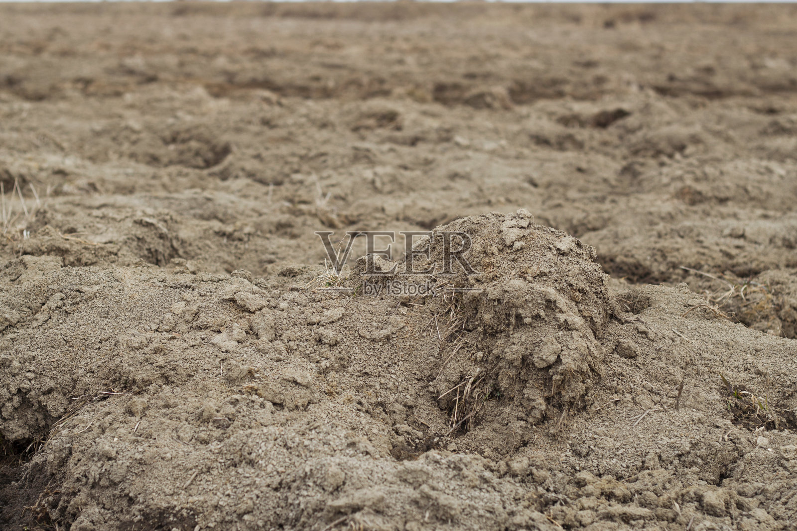 收获后的田地照片摄影图片