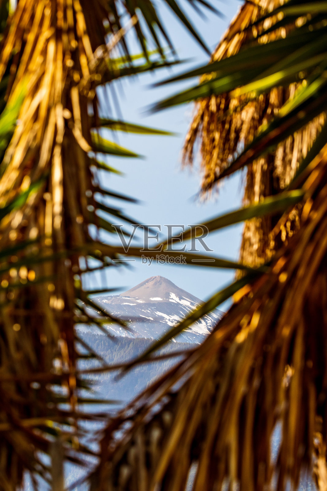 特内里费岛的泰德火山火山口。照片摄影图片
