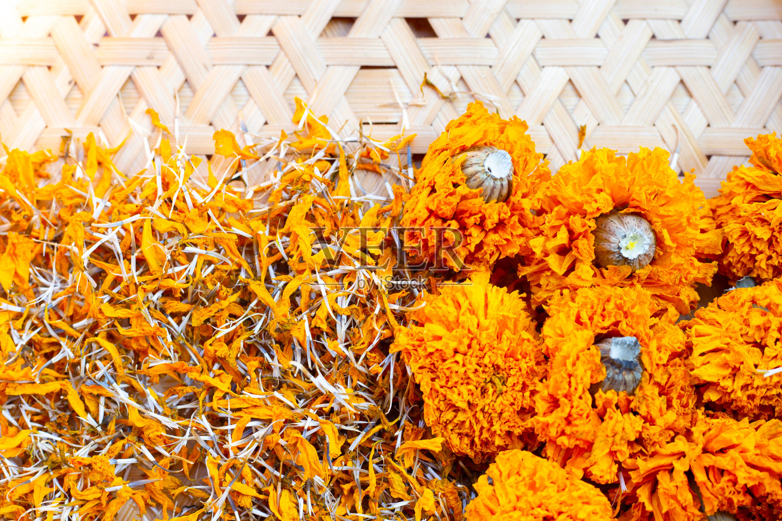 金盏花的干花瓣照片摄影图片