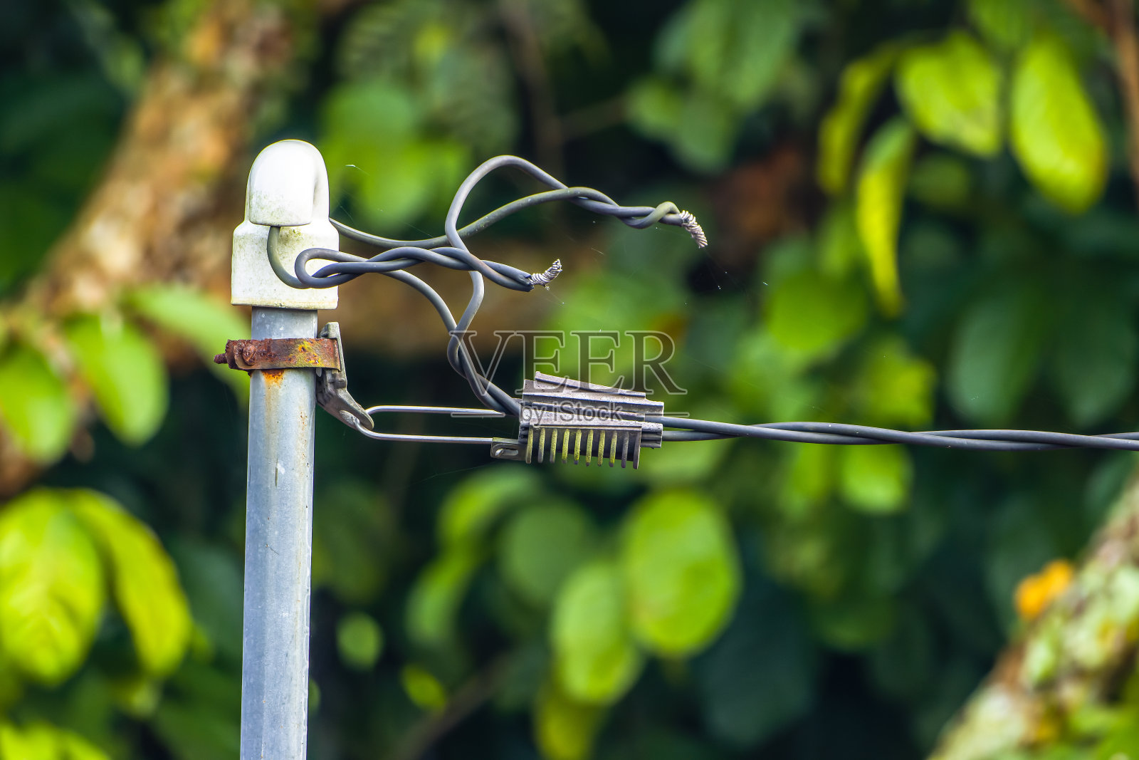 支撑高压电线的旧电线杆照片摄影图片