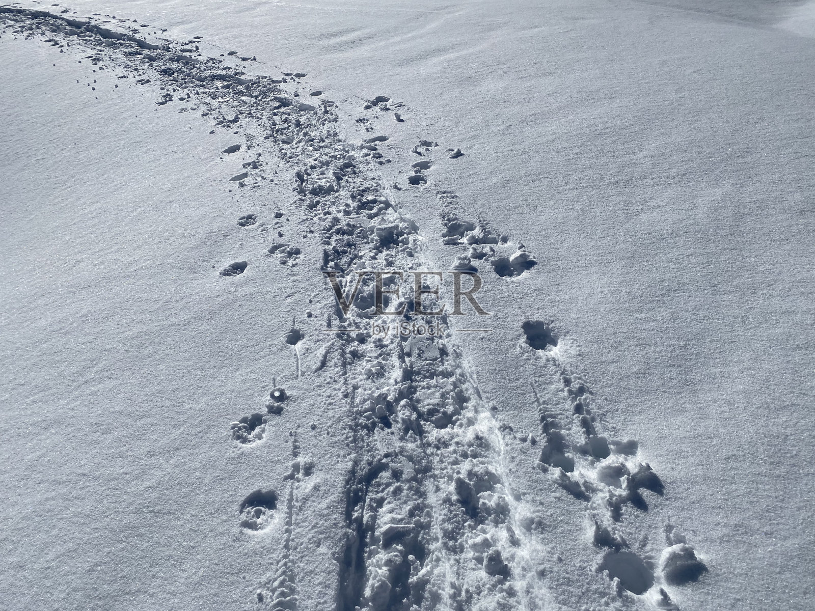 Wonderful winter hiking trails and traces on the fresh alpine snow cover of the Swiss Alps, Schwägalp (or Schwaegalp) mountain pass - Canton of Appenzell Ausserrhoden, Switzerland (Schweiz)照片摄影图片