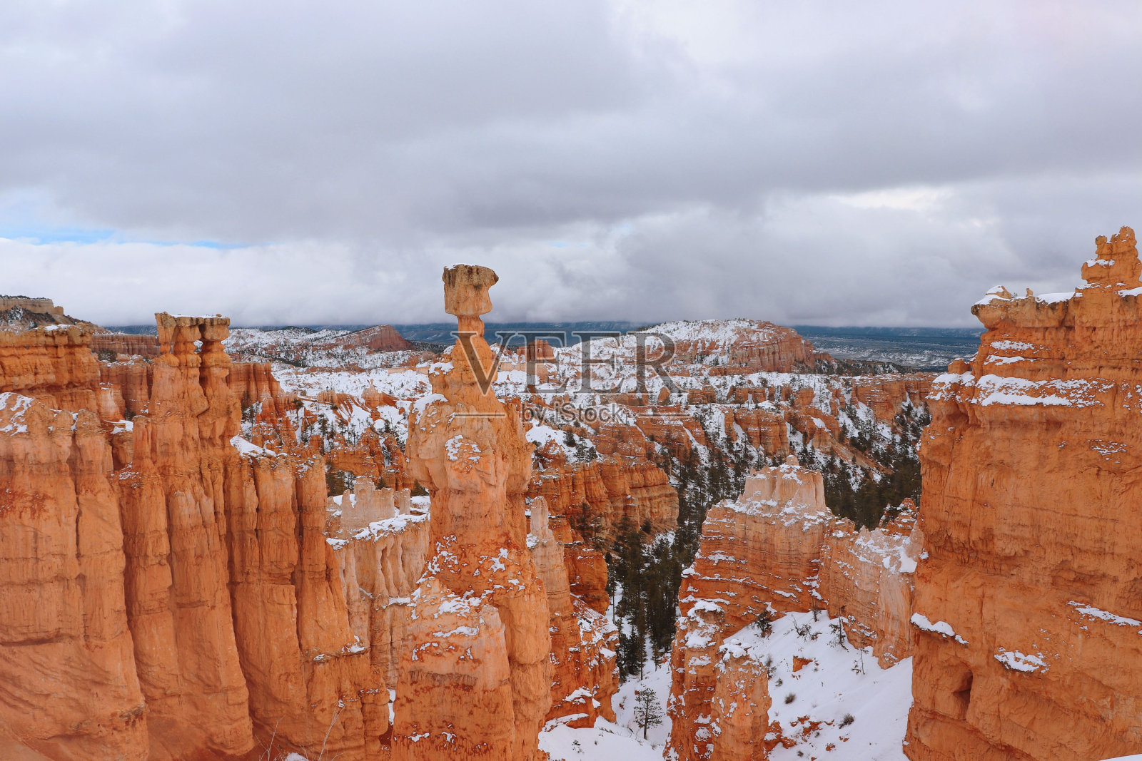 犹他州布莱斯峡谷被雪覆盖的风景秀丽的石阵照片摄影图片