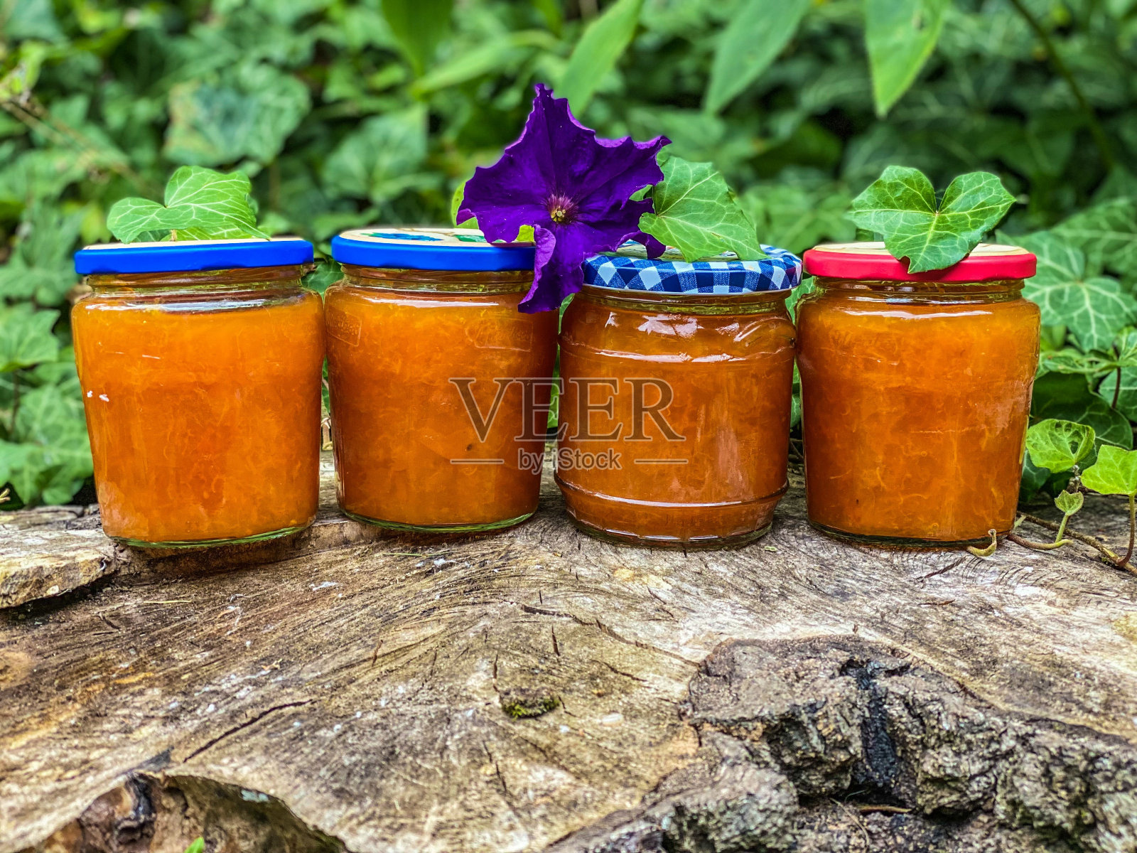 近距离拍摄的新鲜杏果酱罐在一个花园的木制表面照片摄影图片