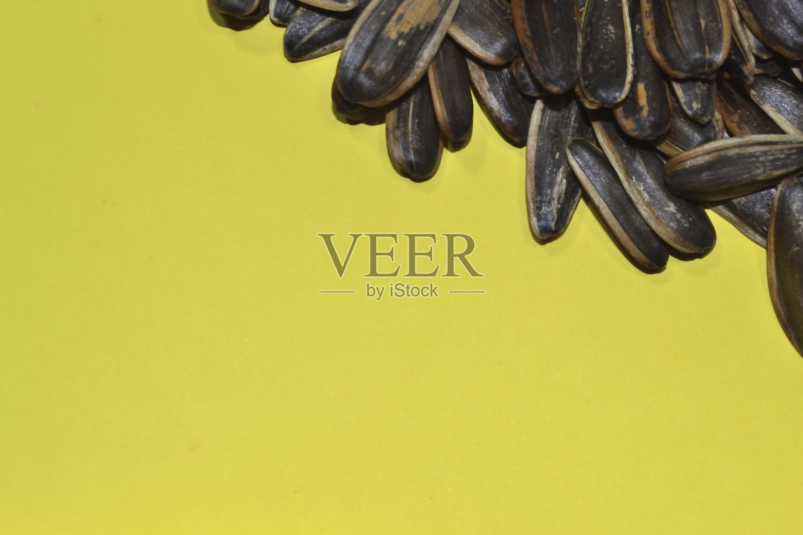 瓜子或夸西与黄色背景隔离照片摄影图片