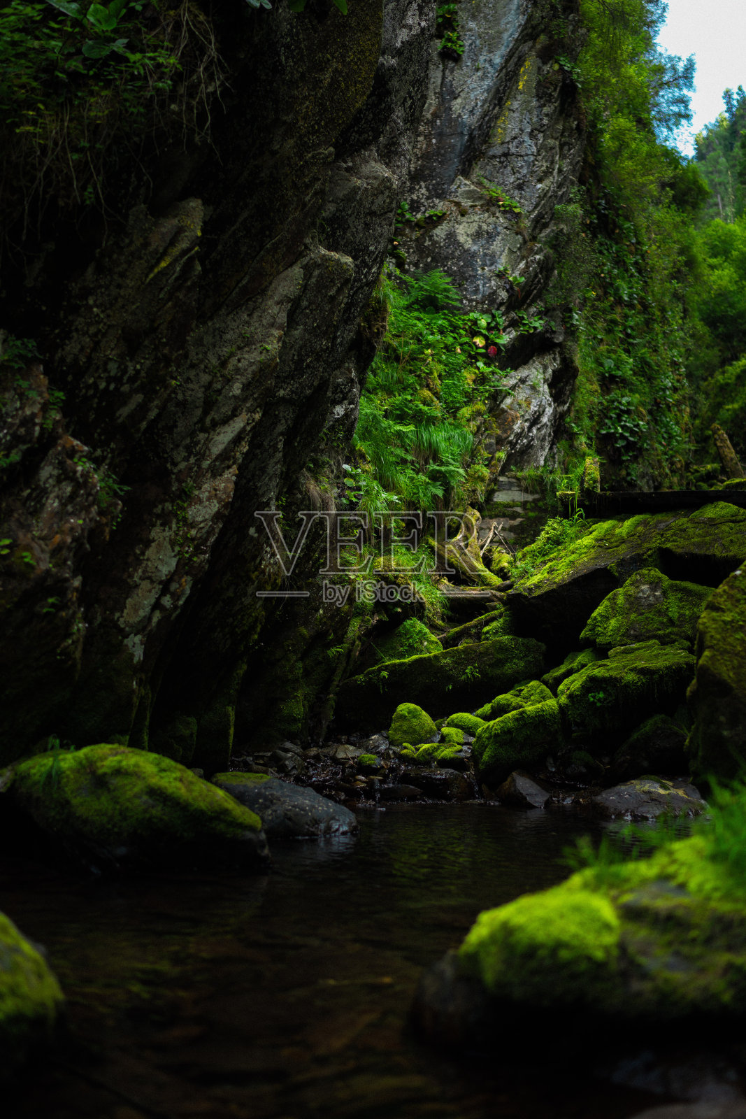 阿尔泰Teletskoye湖附近的瀑布和长满苔藓的岩石照片摄影图片