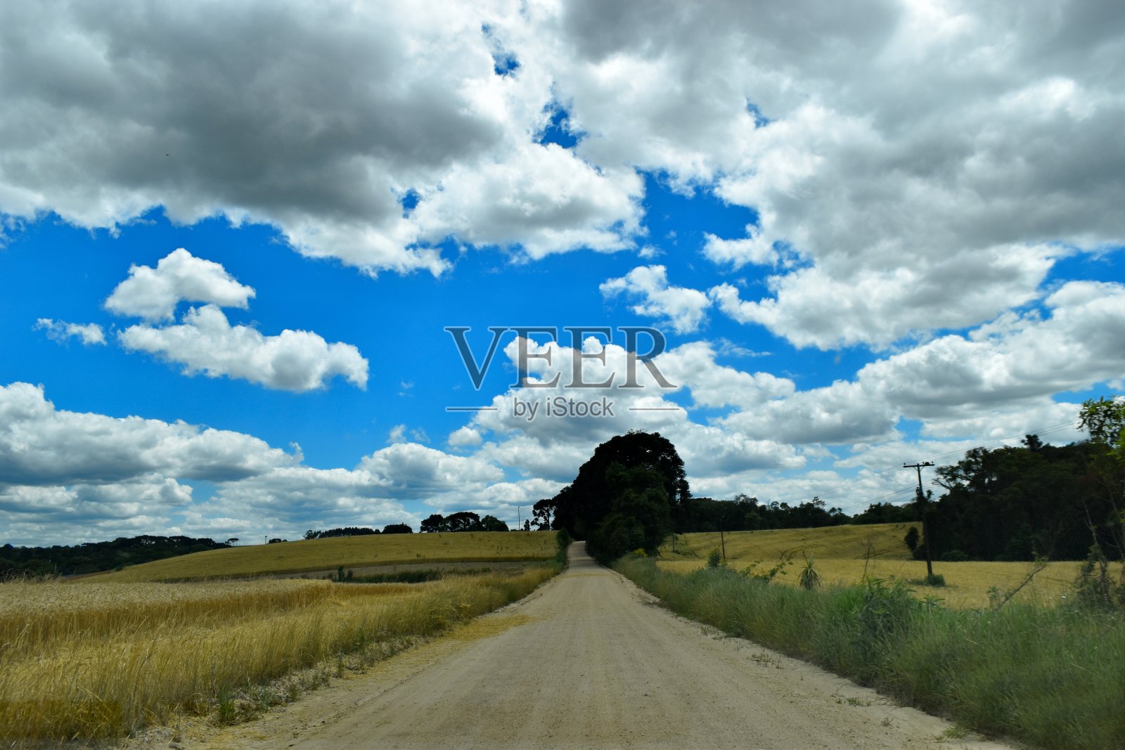 农村的场景照片摄影图片