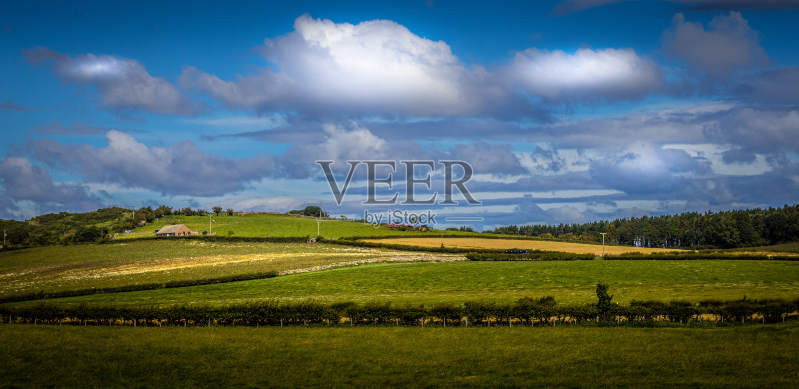 在阴天，草覆盖的山丘和草地的令人惊叹的景色照片摄影图片