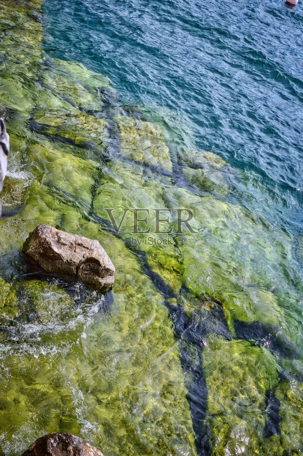 垂直拍摄的海水和绿色海藻照片摄影图片