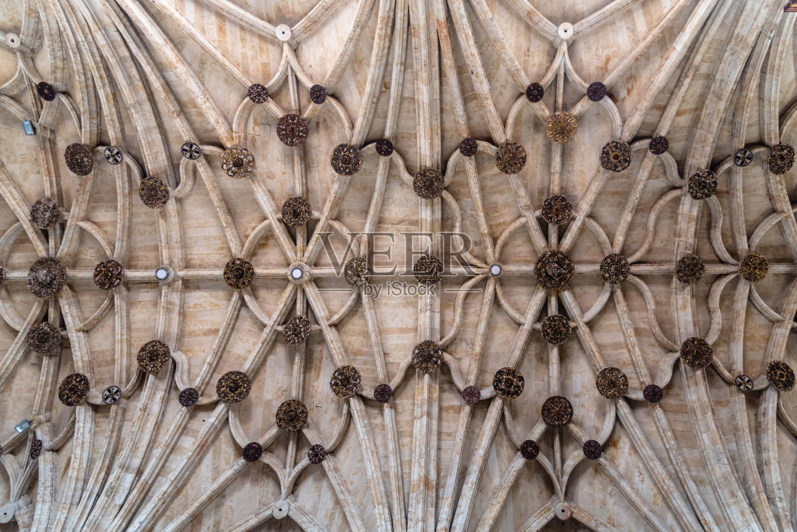 西班牙萨拉曼卡大教堂文艺复兴时期的肋拱顶照片摄影图片