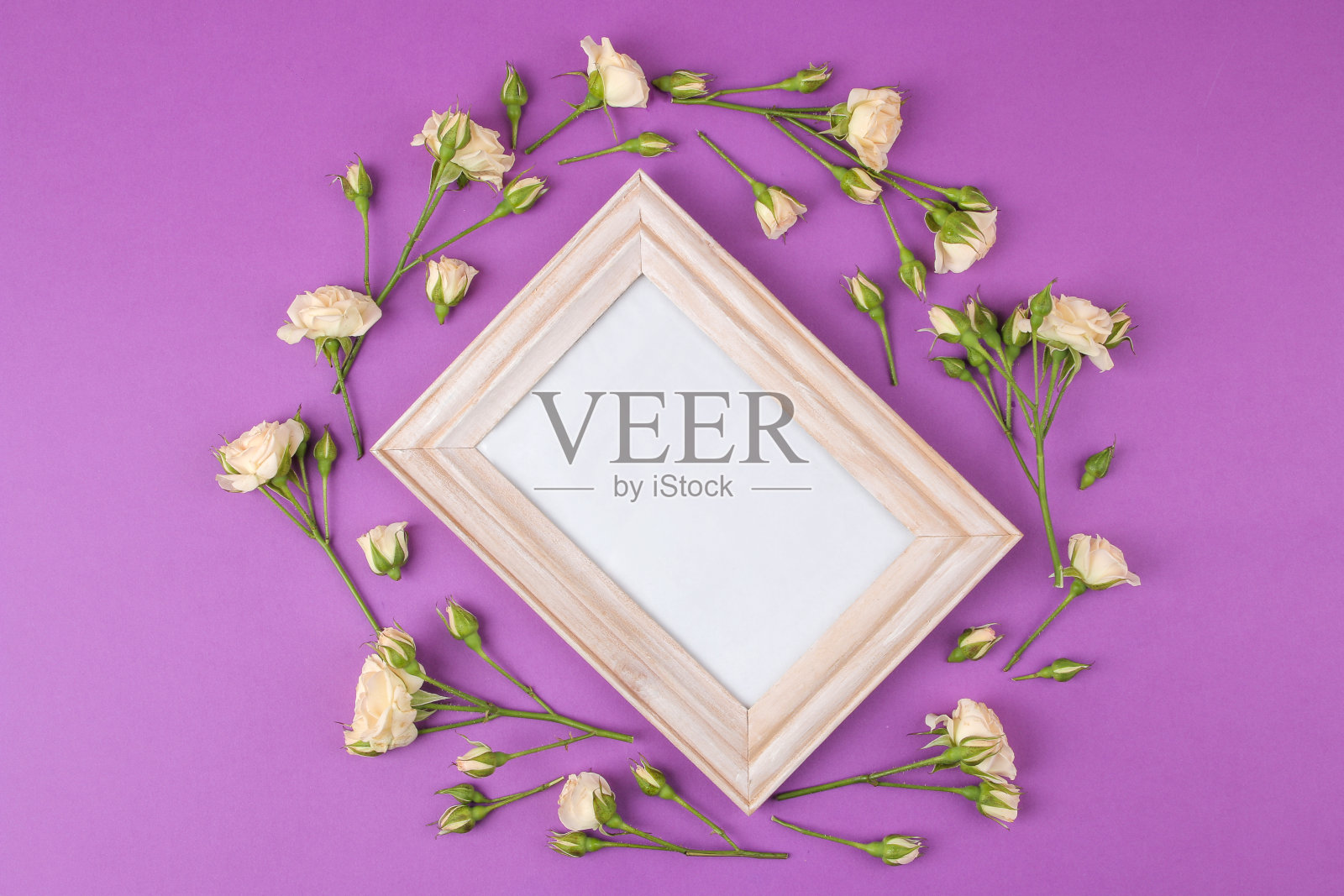 漂亮的迷你玫瑰和明亮的淡紫色背景的相框。假期。情人节。妇女节。从上面看。照片摄影图片
