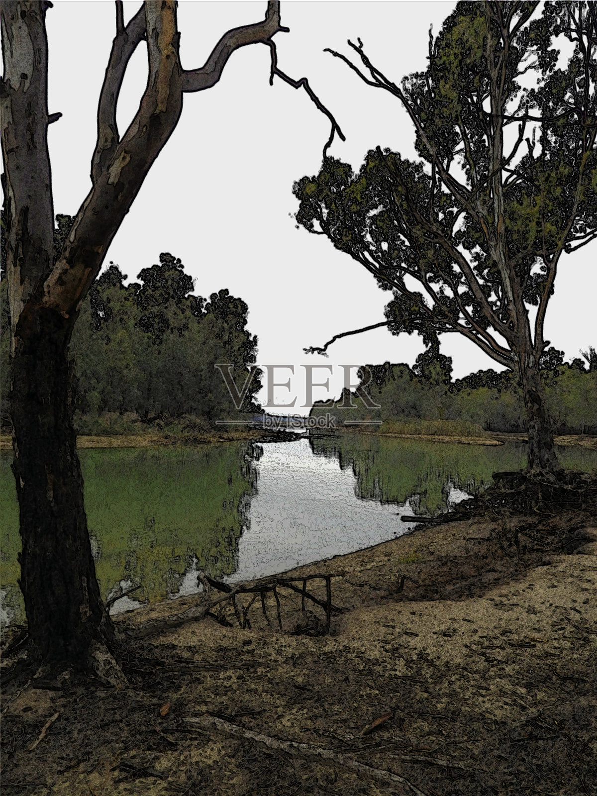 抽象形象，艺术形式中的自然照片摄影图片