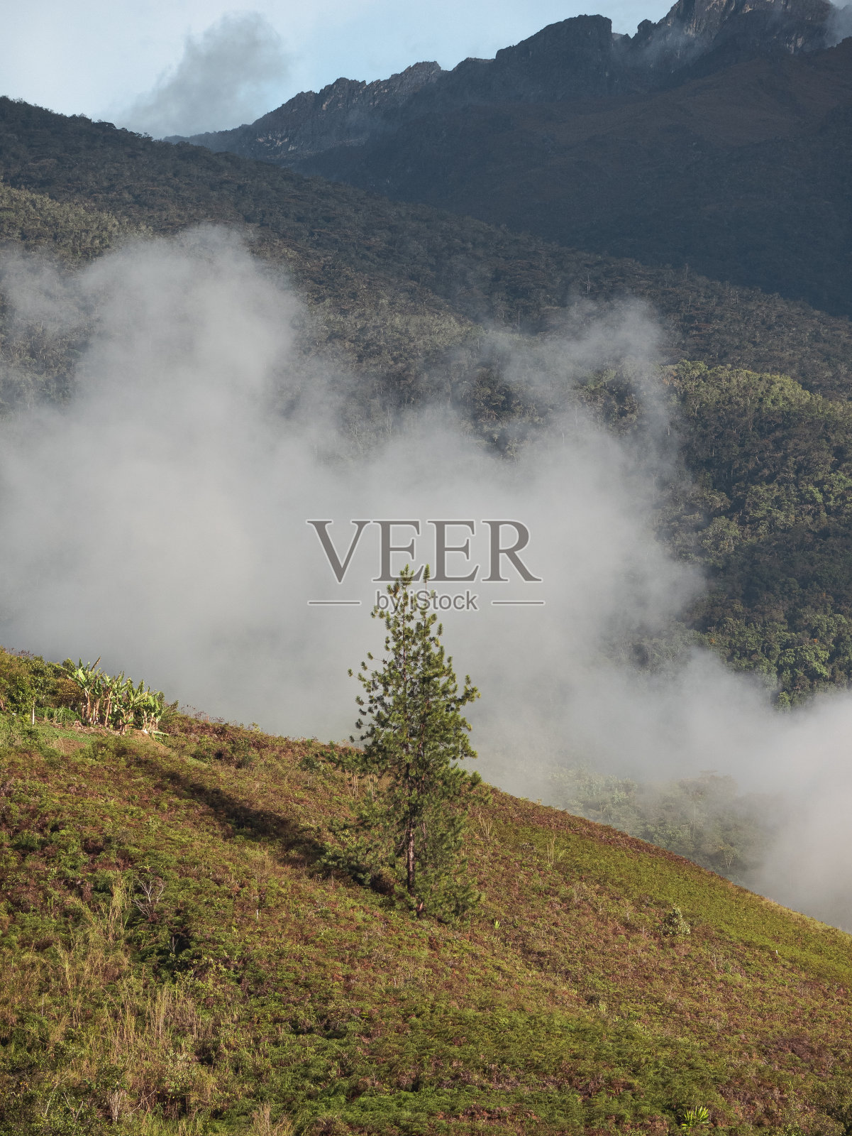 垂直拍摄的悬崖和森林与漂浮的云照片摄影图片