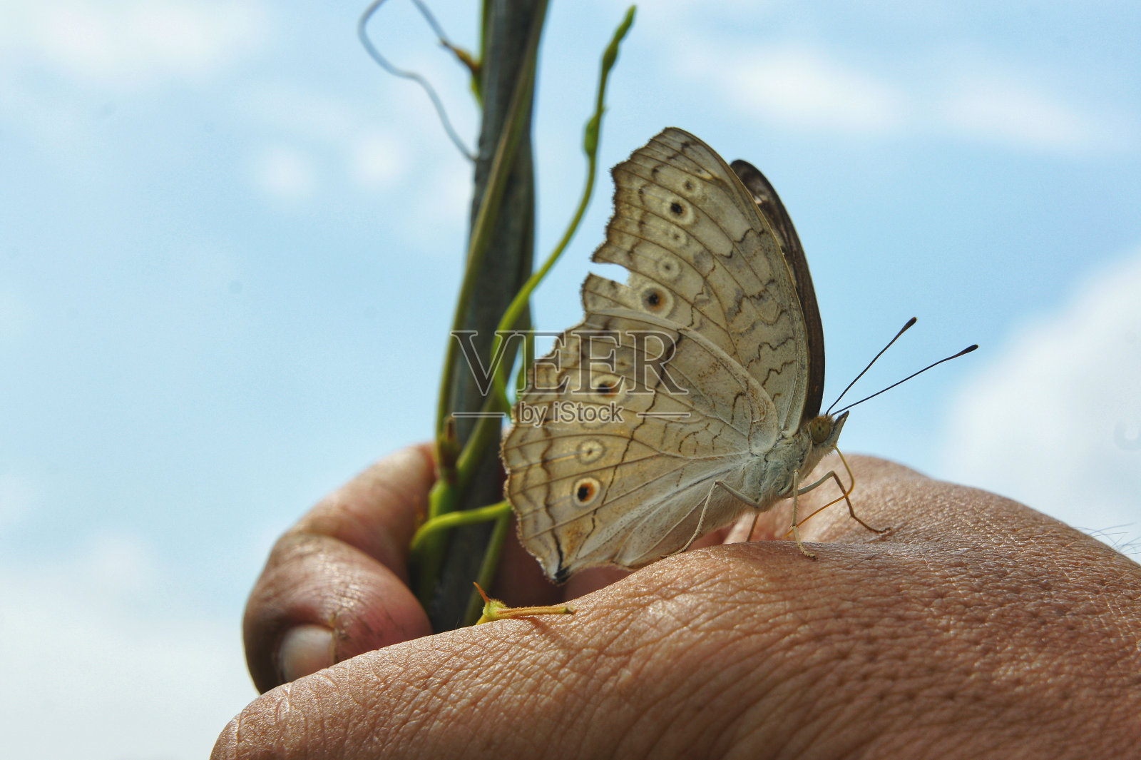 自然平衡的概念照片摄影图片