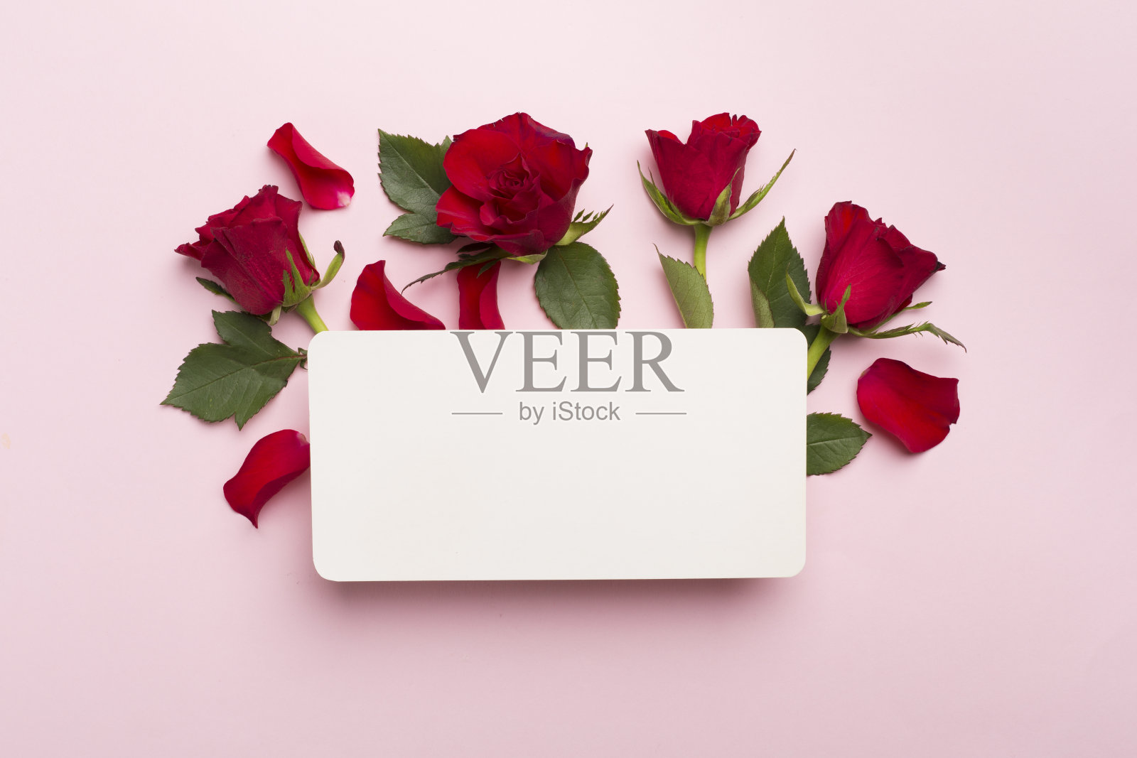 贺卡模型与红玫瑰的颜色背景，俯视图照片摄影图片