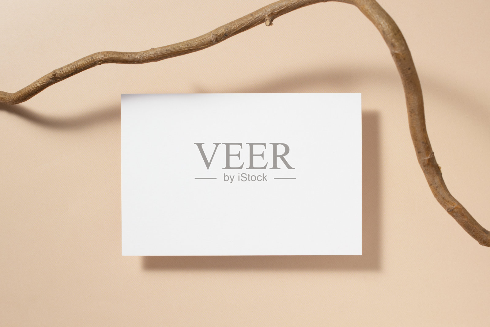 白纸空白，米色背景上树枝。在米色桌子上的邀请卡模型。平铺，俯视图，复制空间，模型照片摄影图片