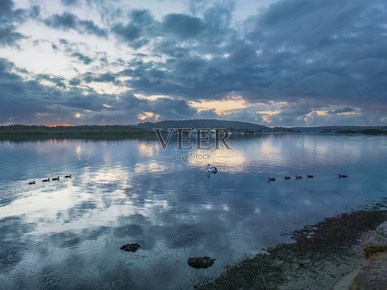 日出水景与雨云，反射，鸭子和鹈鹕照片摄影图片