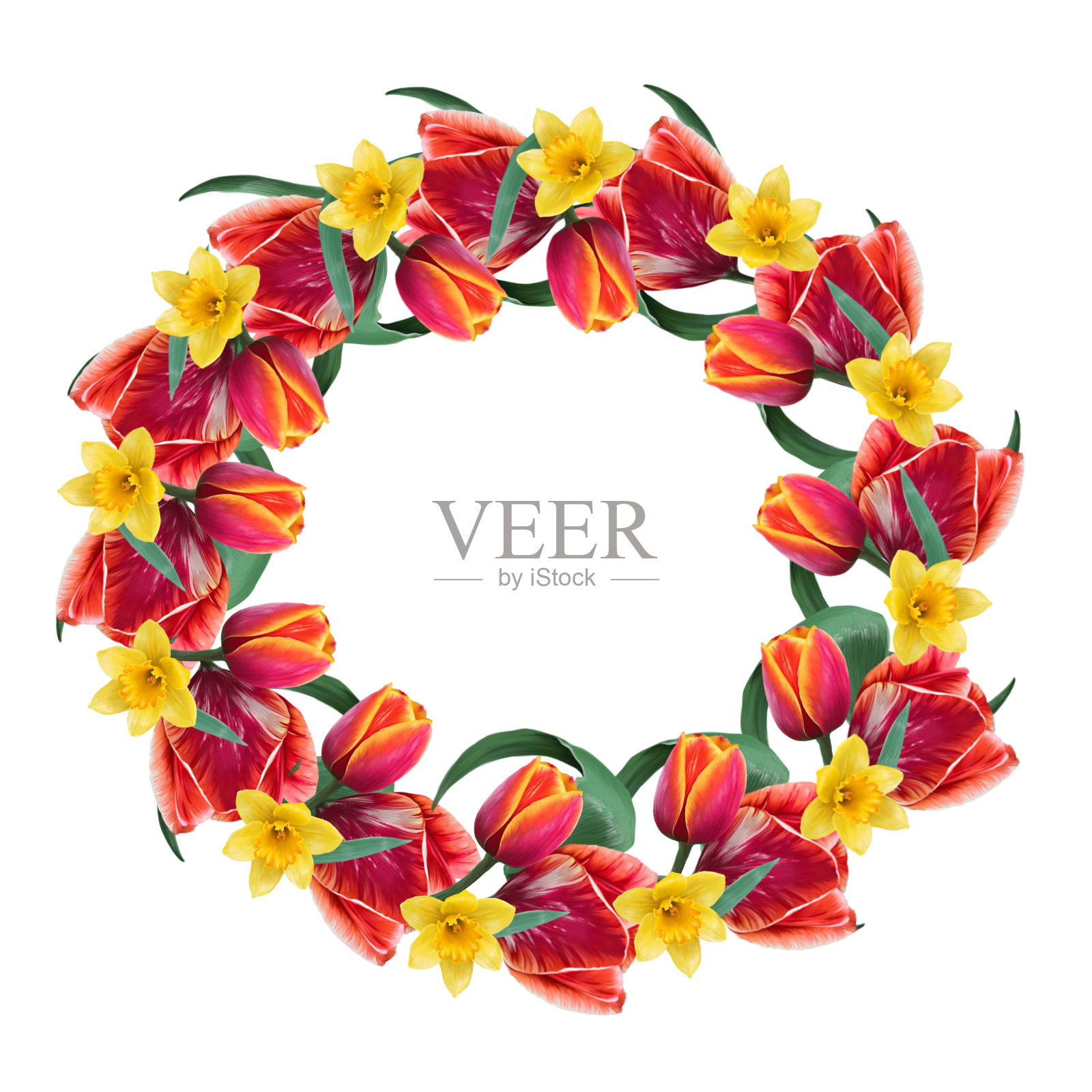 郁金香和水仙的插花插画图片素材