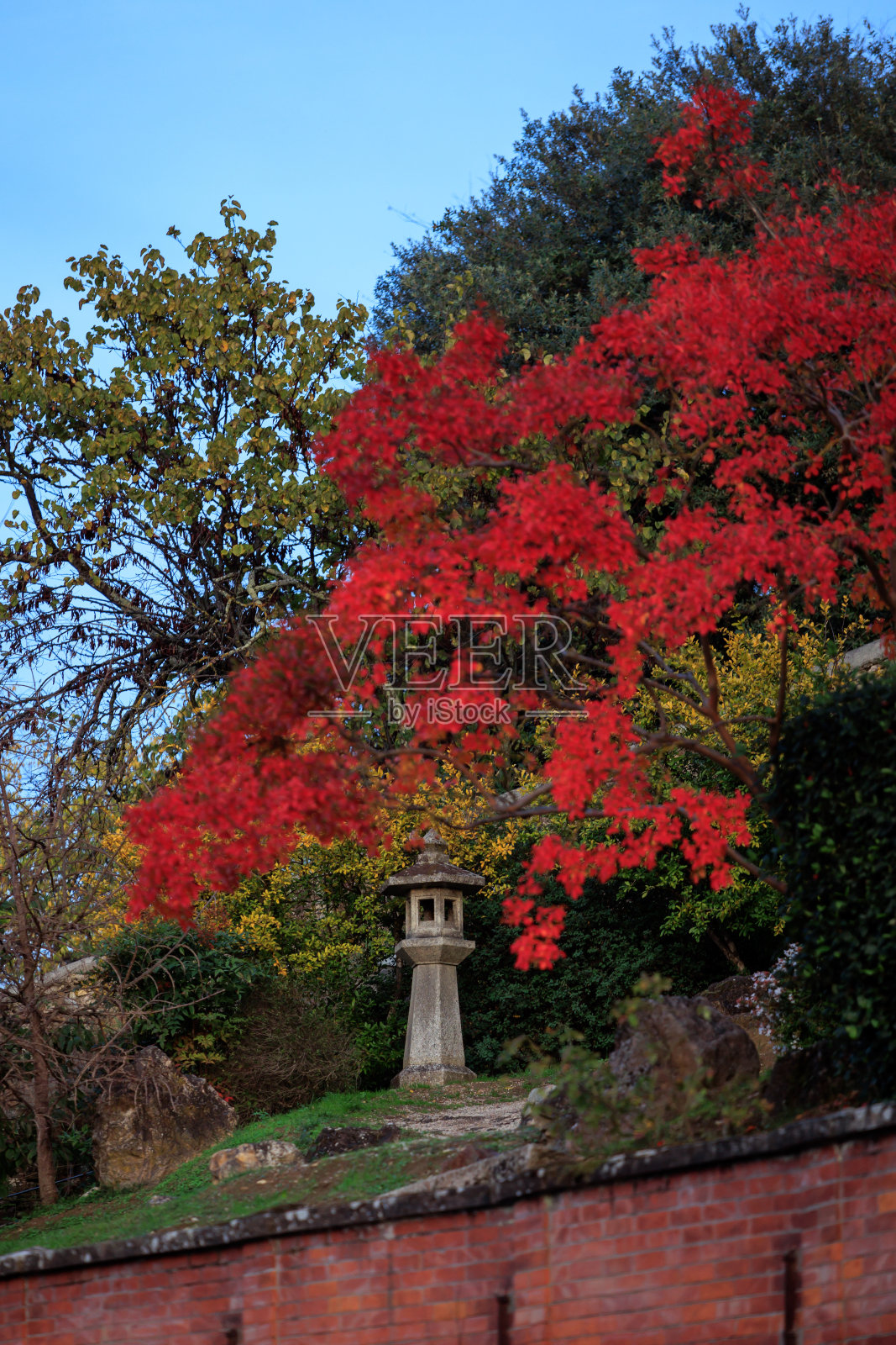 意大利佛罗伦萨的日式花园照片摄影图片