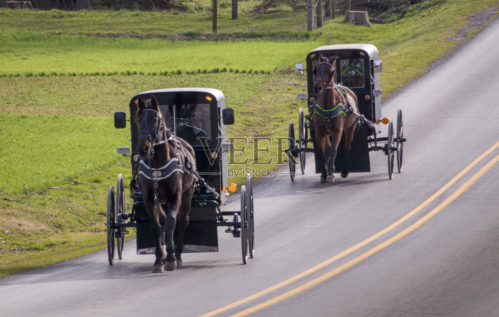 两辆阿米什马和四轮马车通过农田沿着乡村道路旅行的观点照片摄影图片