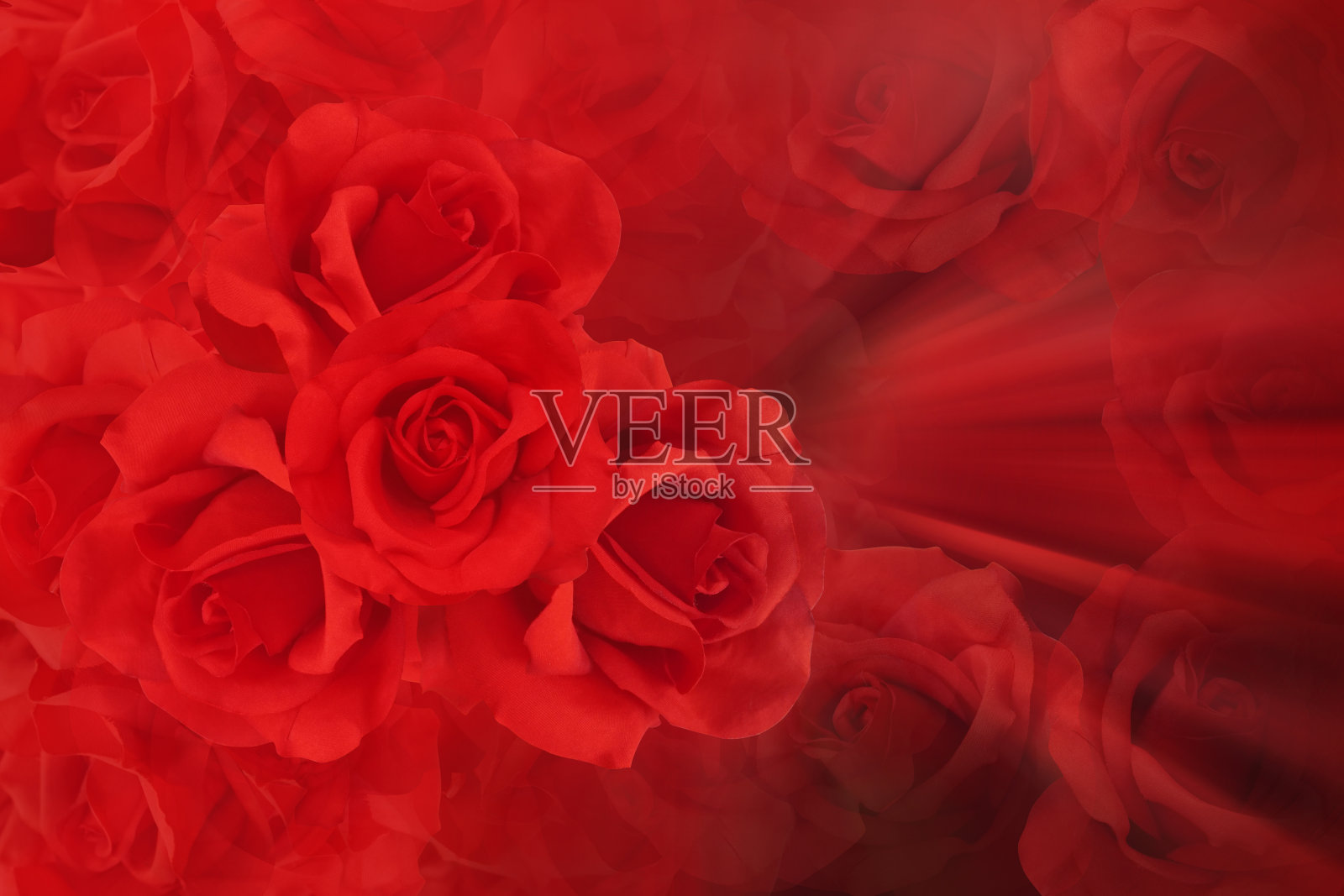 纹理红玫瑰花束上模糊红玫瑰花和红色背景，自然，爱情，情人节，佛，横幅，模板，复制空间照片摄影图片