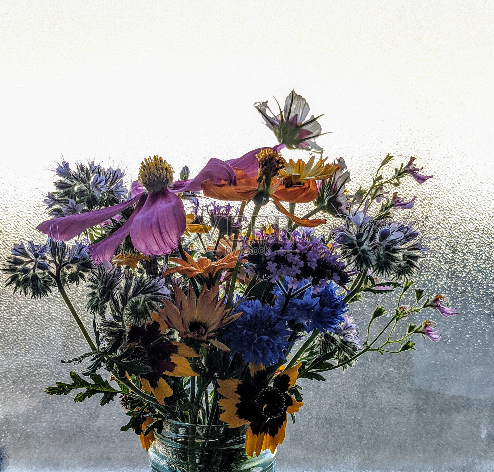 近距离的玻璃花瓶装满了不同的彩色花朵，在窗台上照片摄影图片