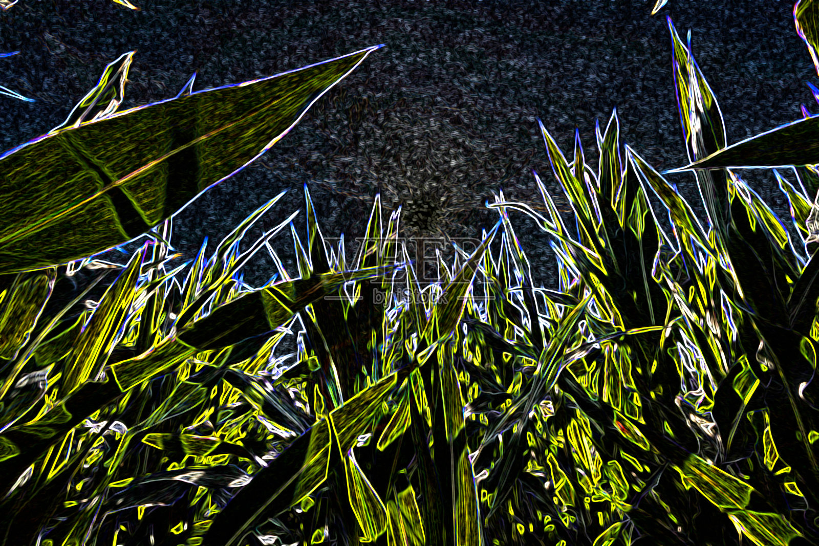 绿色抽象背景与其他色调照片摄影图片