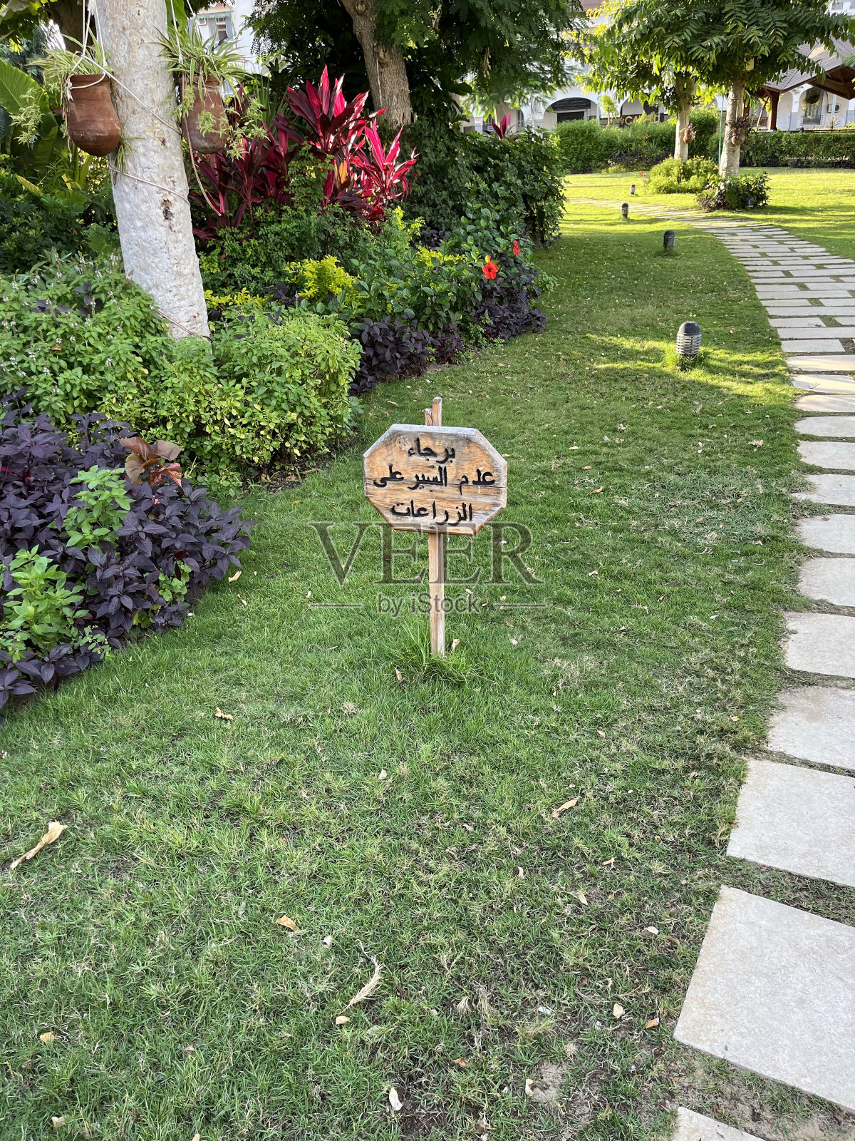 公园里的木制标牌照片摄影图片