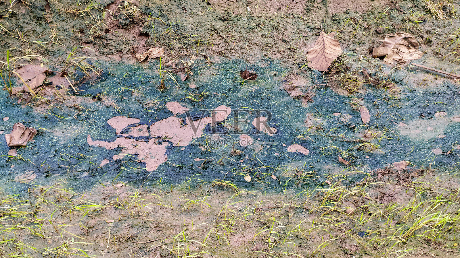 污染照片摄影图片