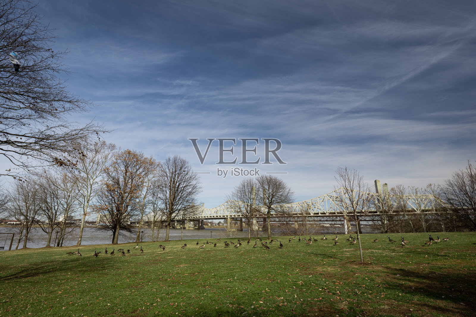 中西部城市冬季森林的景色照片摄影图片