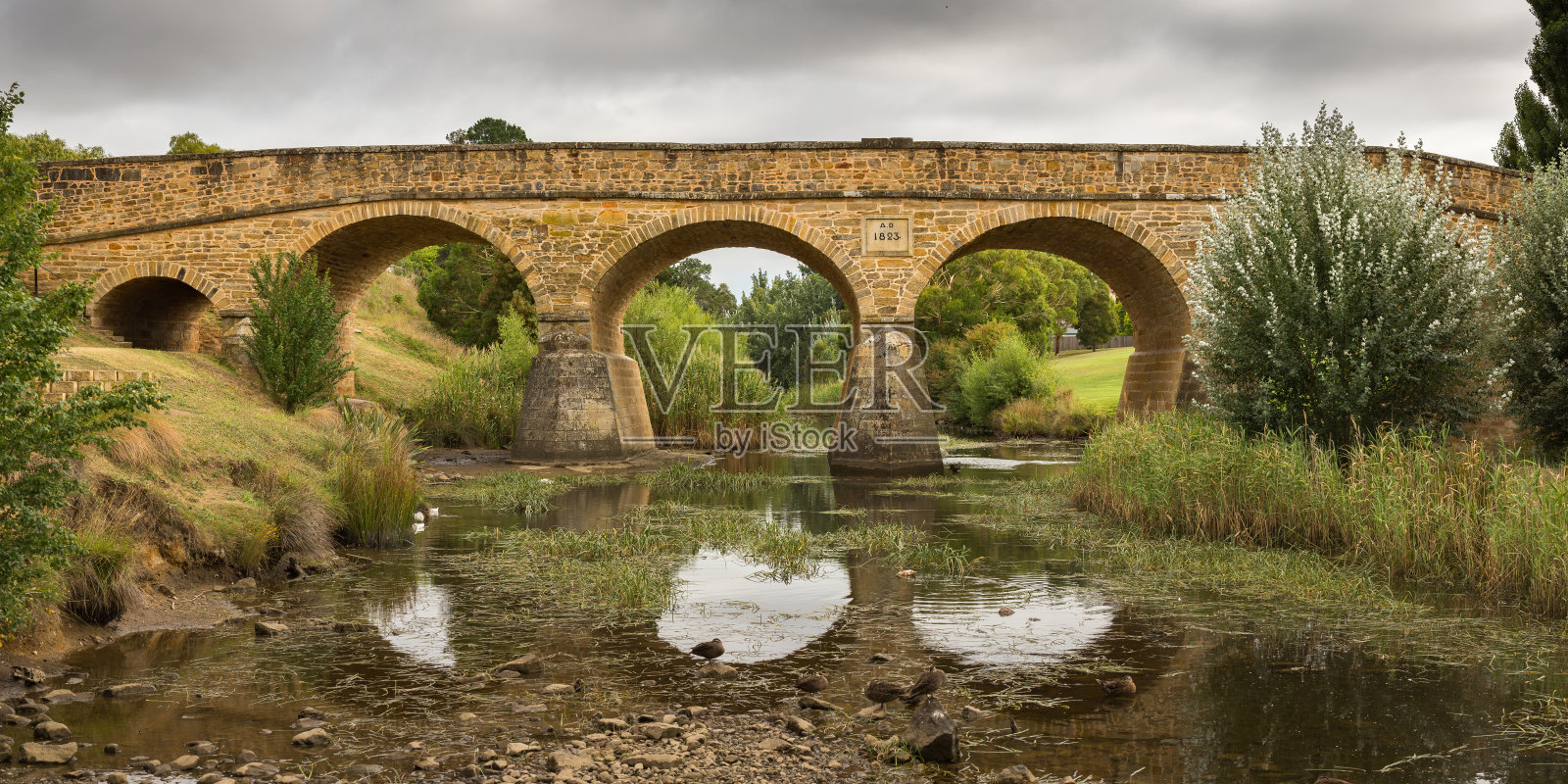 澳大利亚列治文桥被绿色植物包围的景观照片摄影图片